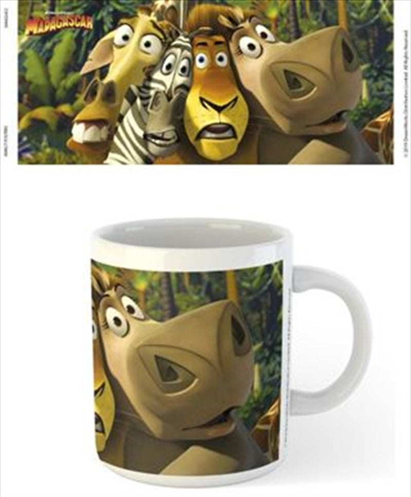 Madagascar Faces Mug