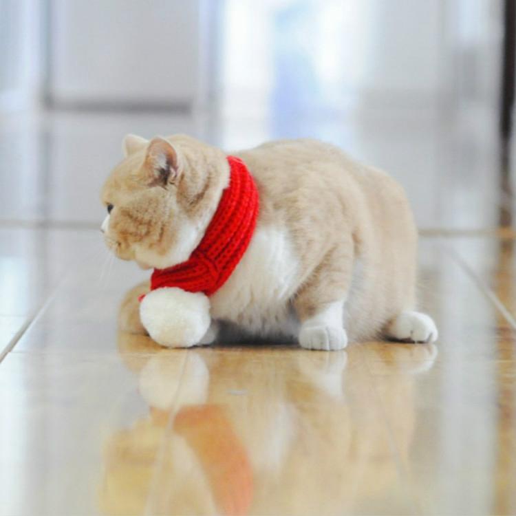 Pet Christmas Wool Scarf Medium & Large Dog Saliva Towel - Size S