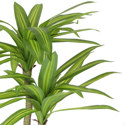 Artificial Multi Head Dracaena Tree with Mixed Green Leaves (Real Touch) 130cm